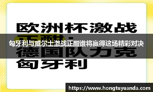 匈牙利与威尔士激战正酣谁将赢得这场精彩对决